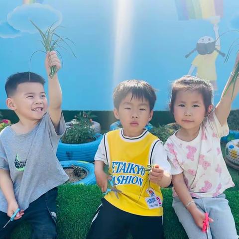 我“韭”和你在一起——小一班劳动课程故事