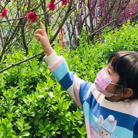 约会春天 尽享春色—中二班春季主题活动