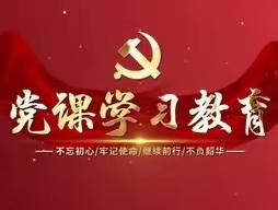 “支部书记讲党课”南沿村镇6月份主题党日