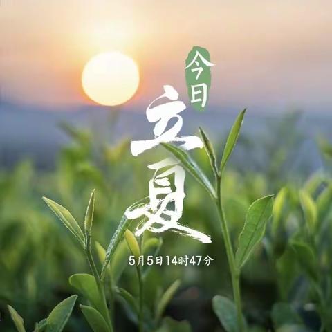 你好，立夏！——弋阳县第二幼儿园立夏主题活动