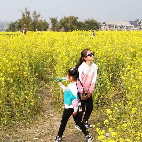 芬芳的花儿开了