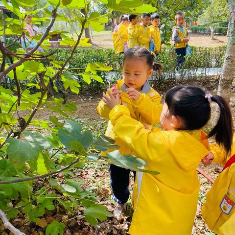 森林幼儿园小雨点班🍃第八周影集