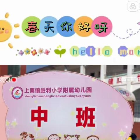 “🌿你好呀，🌸春天🌱”——胜利小学附属幼儿园和春天约会趣味活动