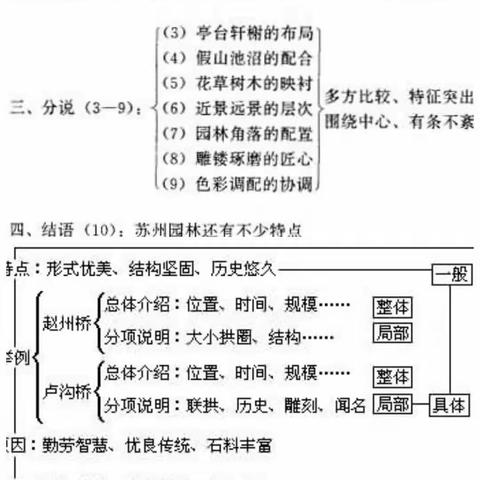 说明文思维导图的训练与培养