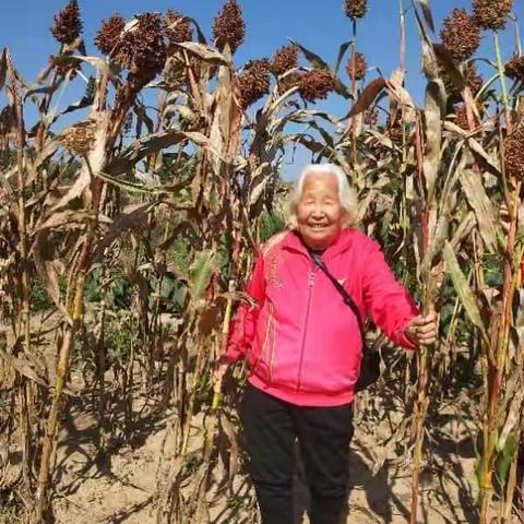 陪同老妈逛天下