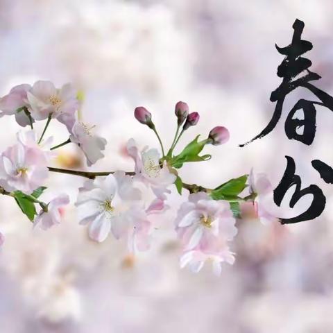 【传统文化】二十四节气——春分