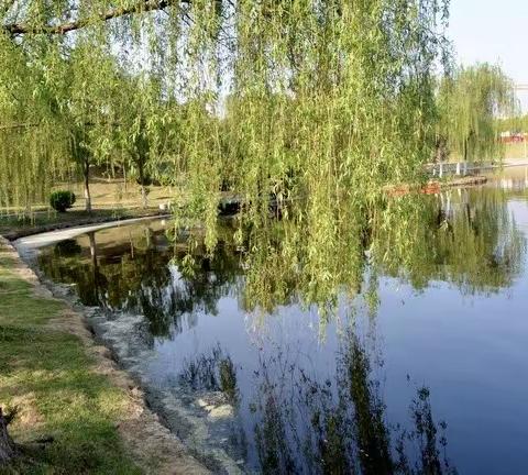 “停课不停学，成长不延期”下塘路幼儿园居家一日活动指导系列活动（第六十二期）