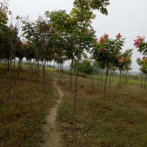 难忘那年，难忘那景，难忘那人