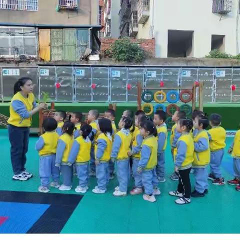 零陵区机关幼儿园小二班——一周精彩回顾