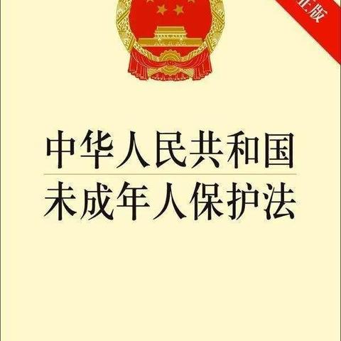 关爱儿童，托起明天的太阳——眉县齐镇三星幼儿园《未成年人保护法》宣传活动