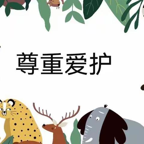 尊重生命，爱护动物——包头市第四十九中学初一（17）、（18）班思考小记