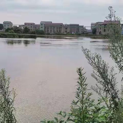 洪水超历史最高水位，圩堤来了位决策帷幄的书记