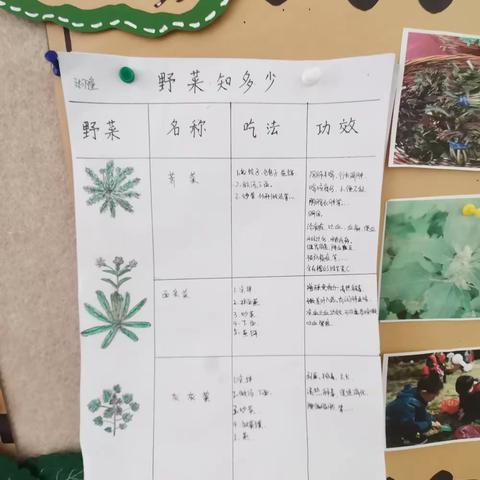 绚烂春天，快乐生活—宝翠园小学附属幼儿园中二班精彩生活