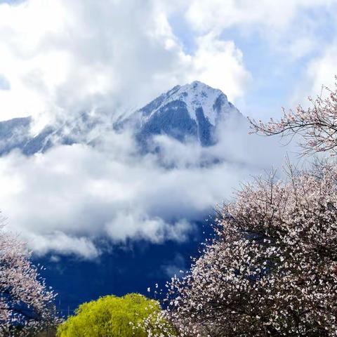 川藏驾驰318：走进雪域江南，雾里看山看水又看花