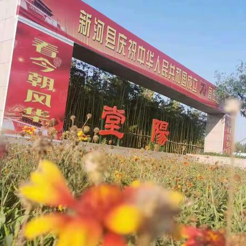 新河县实验中学师生堂阳公园庆祖国70华诞!