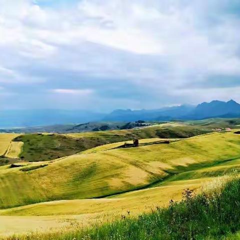 醉美新疆自驾游——（2）奇台篇