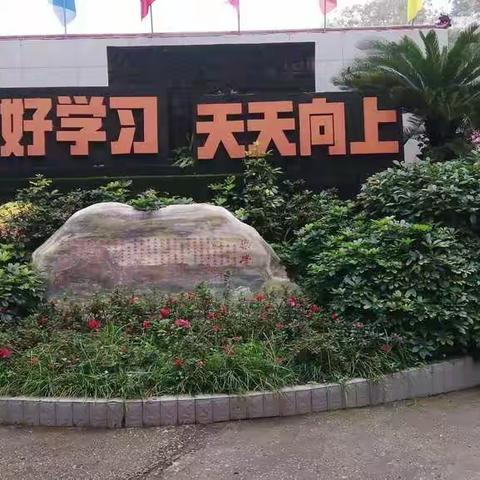 忙碌的工作，充实的心  ——禾加镇小学校第九周值周工作