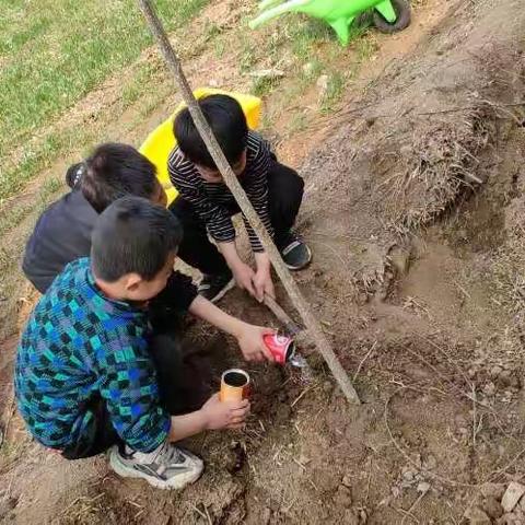 春暖花开万物生，争做护绿小使者