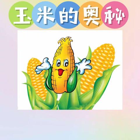 心园幼儿园天蓝班～食育方案《玉米的奥秘》🌽🌽