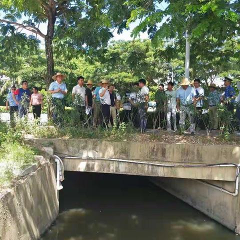 吉阳区总河湖长、区长顾浩 率队到抱坡村调研村民生活污水直排问题 推进村生活污水排放规范化建设