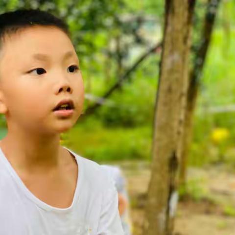 三年的陪伴，感恩遇见……——致草莓班老师们的感谢信