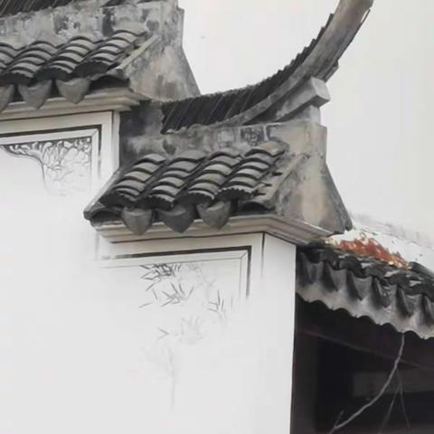 2022年初自驾---上海奉贤海湾国家森林公园