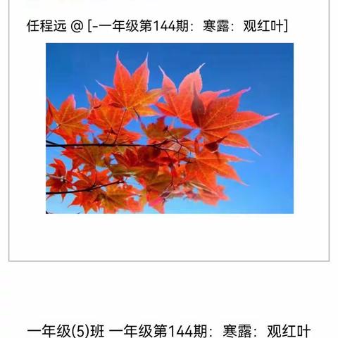 城内小学一五中队十月份《综合实践》汇总美篇