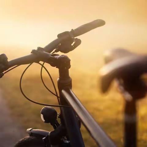 照片背后的故事