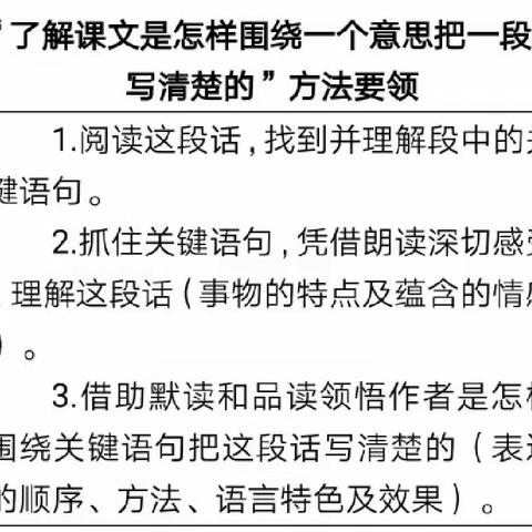 “温故知新”要与“知新强故”融合统一——融合教学实践研究散论之二