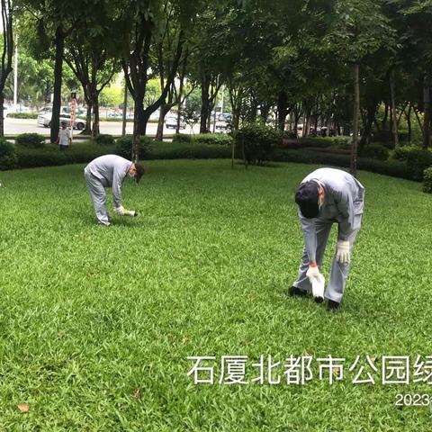 信邦张先军的美篇