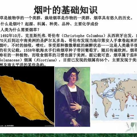 关于烟叶的调查与推介