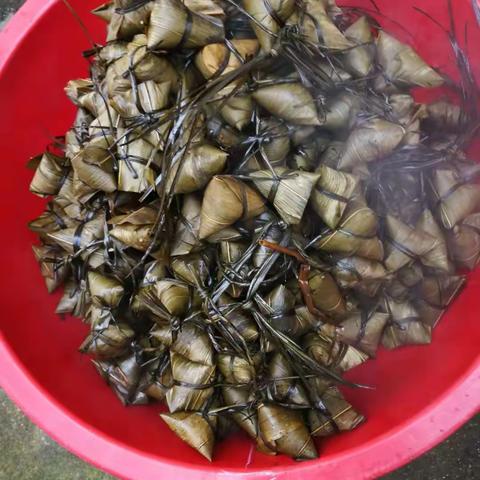 端午情，粽飘香