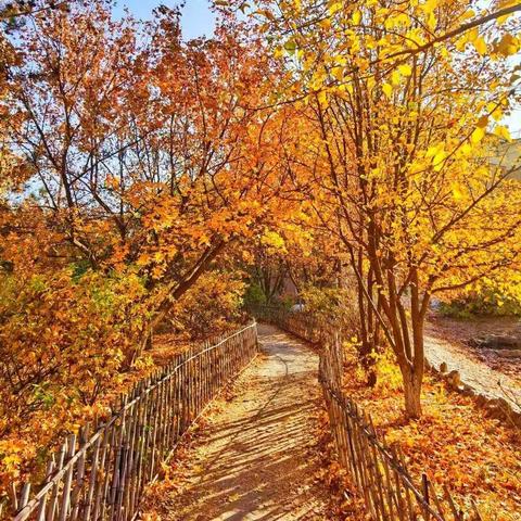 汉字之美——二上第二次书法比赛