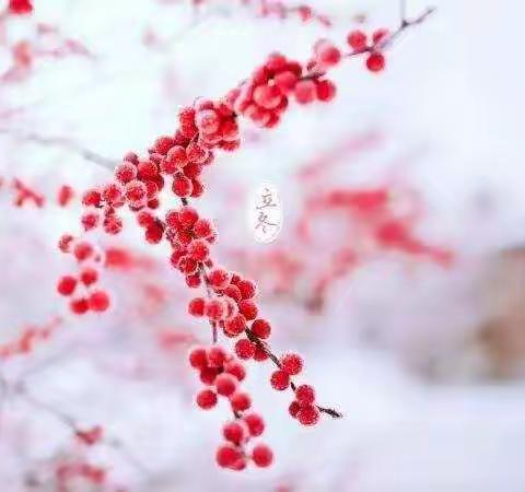 寒冬初到   冬日暖阳———记二年八班美术作品展