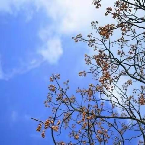 冬日暖阳——一年八班的第三次书法比赛