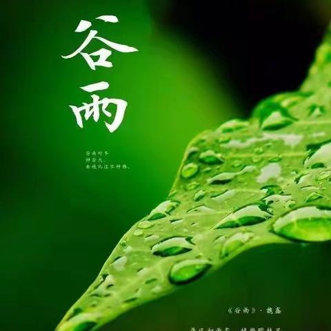 二十四节气之谷雨