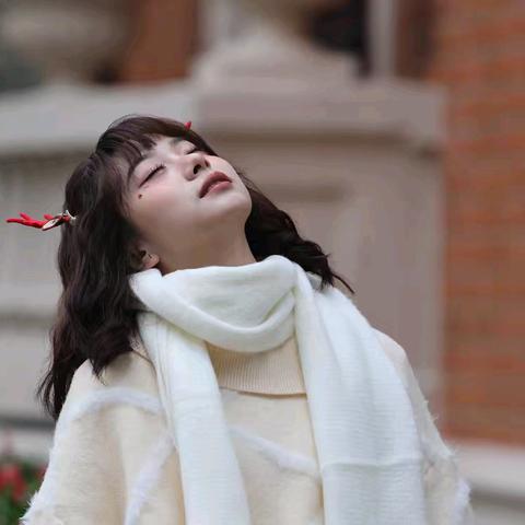 【我的2024】可爱的圣诞少女