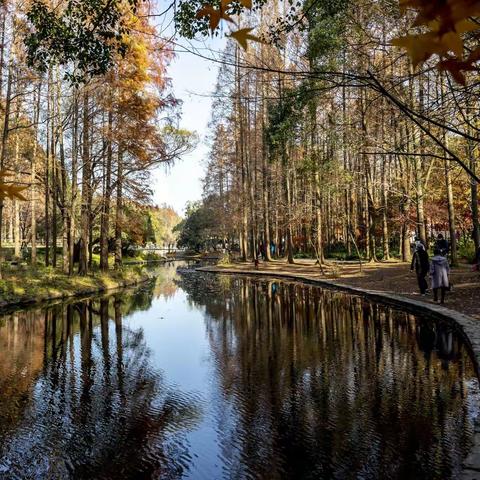 赏金秋倒影，心静如水