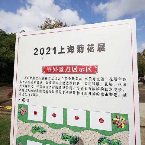 【探馆】2021年上海菊花展——共青森林公园