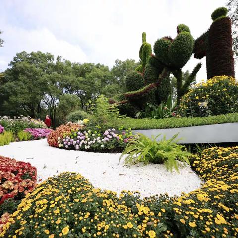 品金秋菊韵  享美好生活