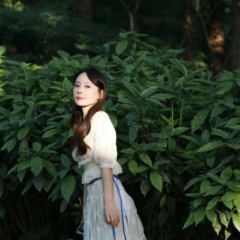 森林中的一束阳光