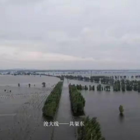 洪水无情摧黎阳，霄河有爱护家园——霄河路小学师生家长抗洪救灾齐上阵