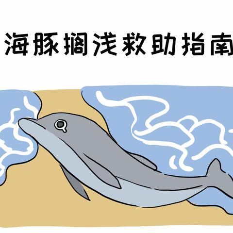 海豚搁浅救助指南