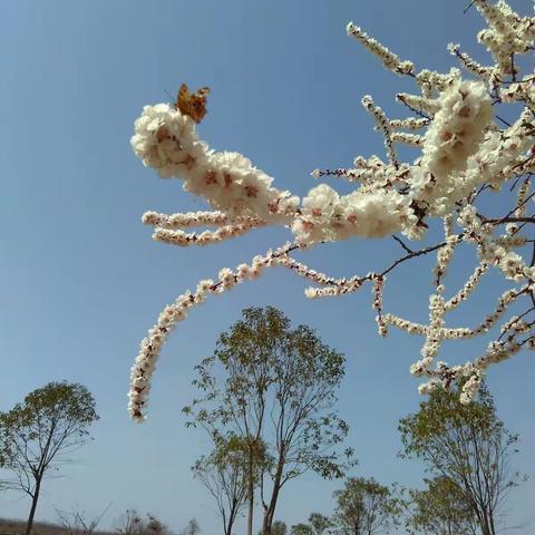 留住春意，留住友情，留住时光。