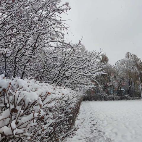 菲菲雨雪立秋寒，银装素裹扮妖娆，几经春秋人常在，江山如画抒情柔情。