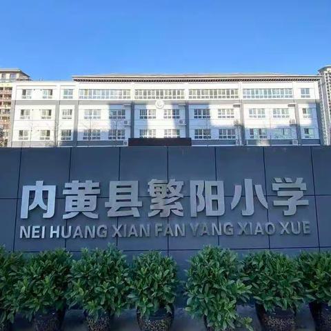 春风十里  繁阳“花”开——