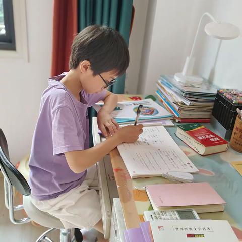 徐语晨的暑假生活