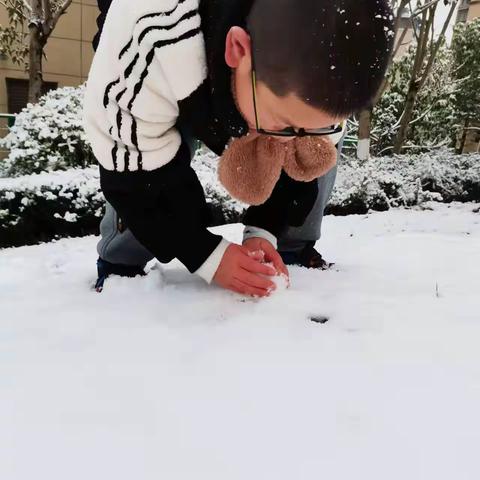 下雪啦