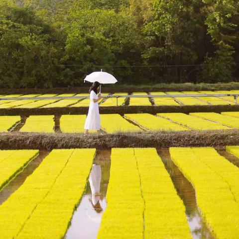 “减法”怎么减