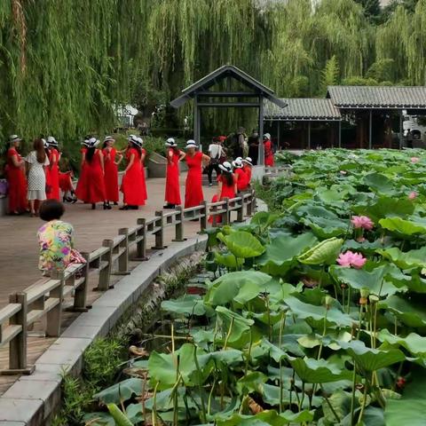 久违的紫荆山公园